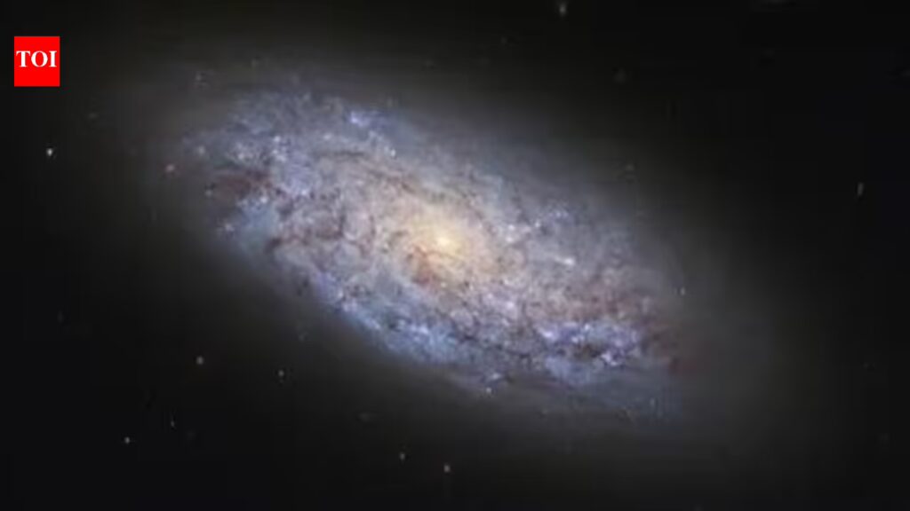 1776450085 photo.jpg