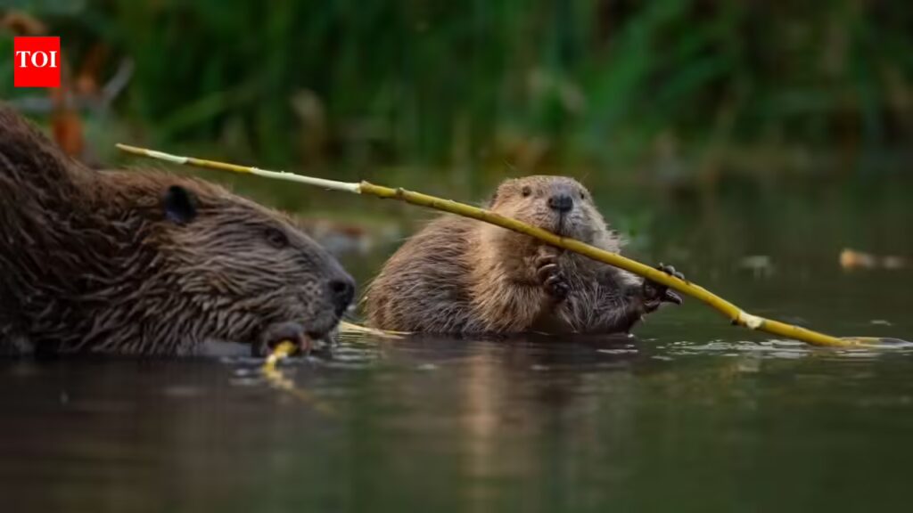 1776452339 photo.jpg