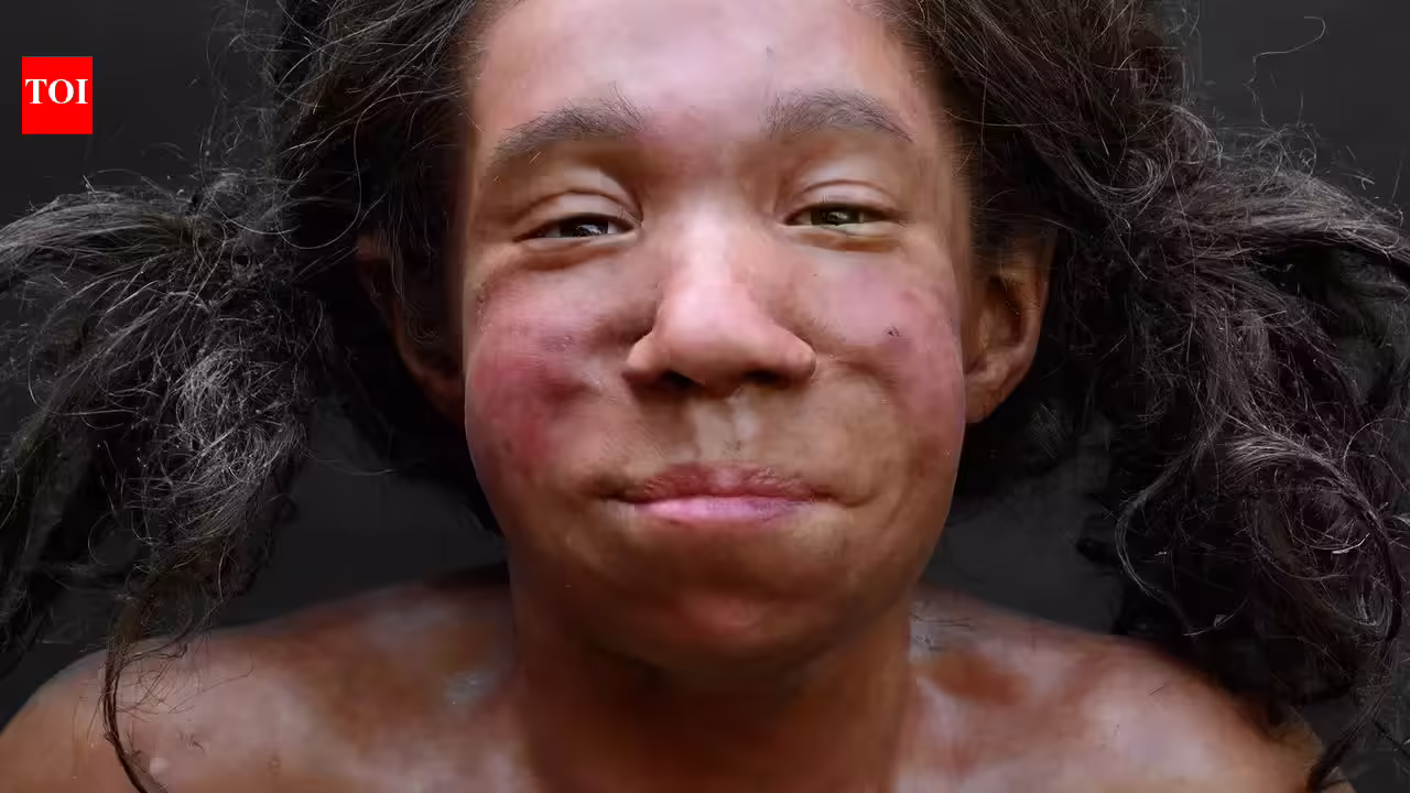 1776661485 photo.jpg