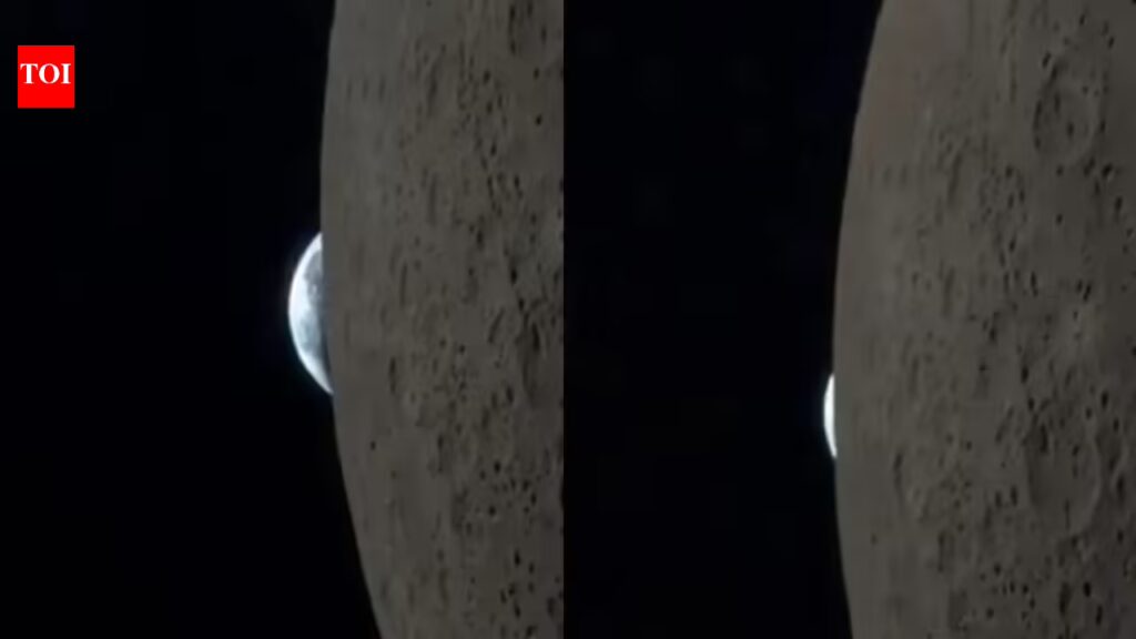 1776679955 photo.jpg