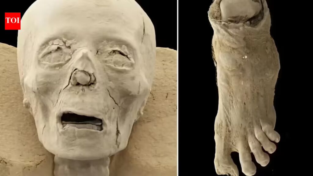 1776951614 photo.jpg