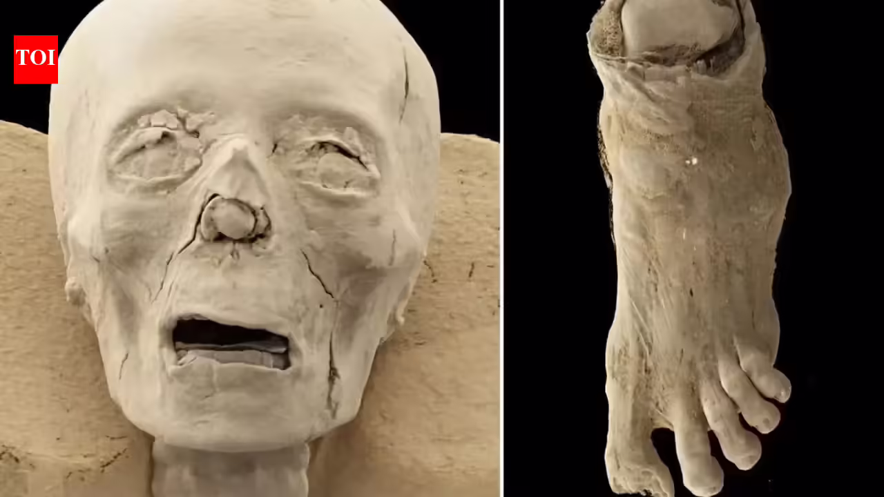 1776951614 photo.jpg