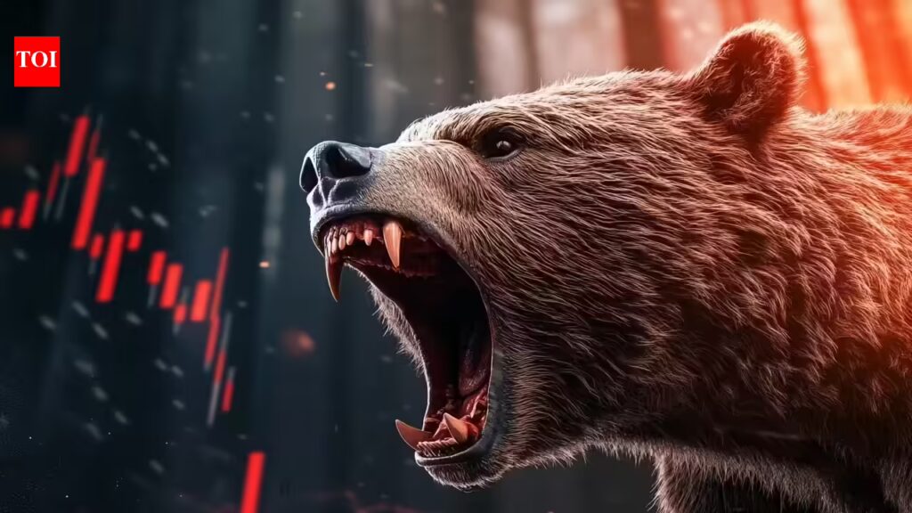 1777018335 photo.jpg