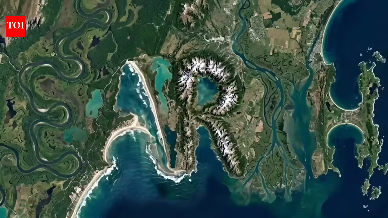 1777073463 photo.jpg