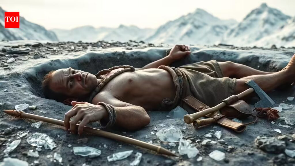 1777204929 photo.jpg