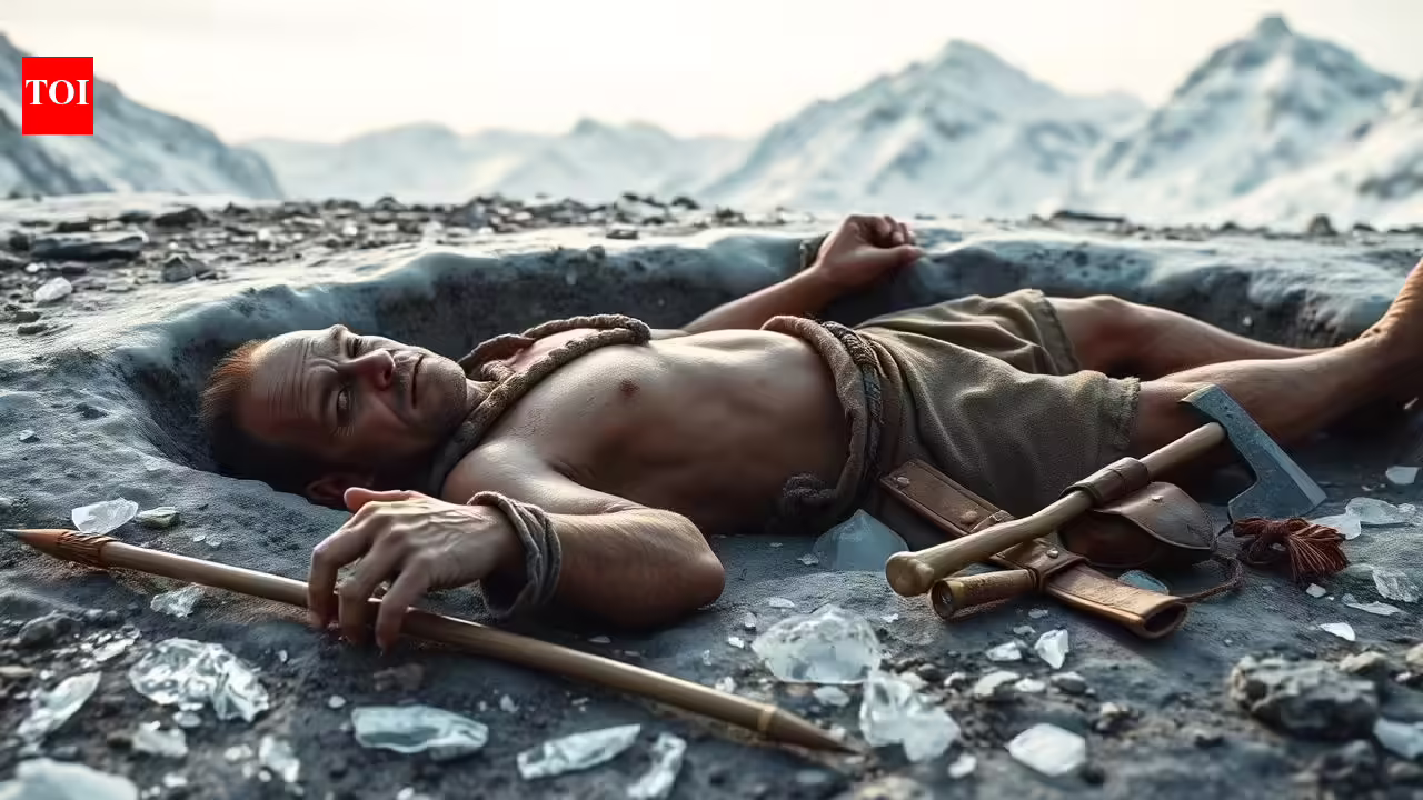 1777204929 photo.jpg