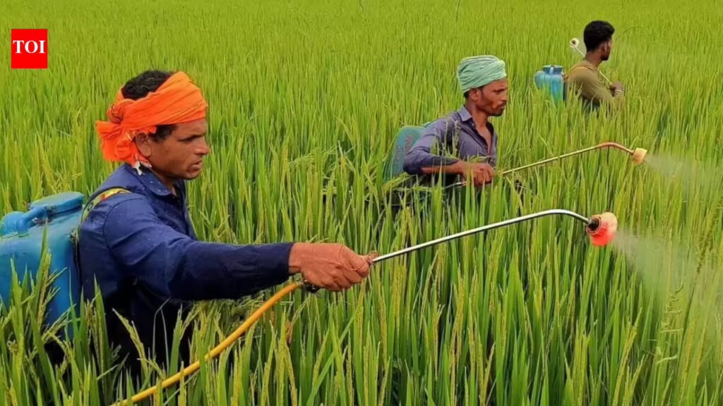 1777298779 photo.jpg