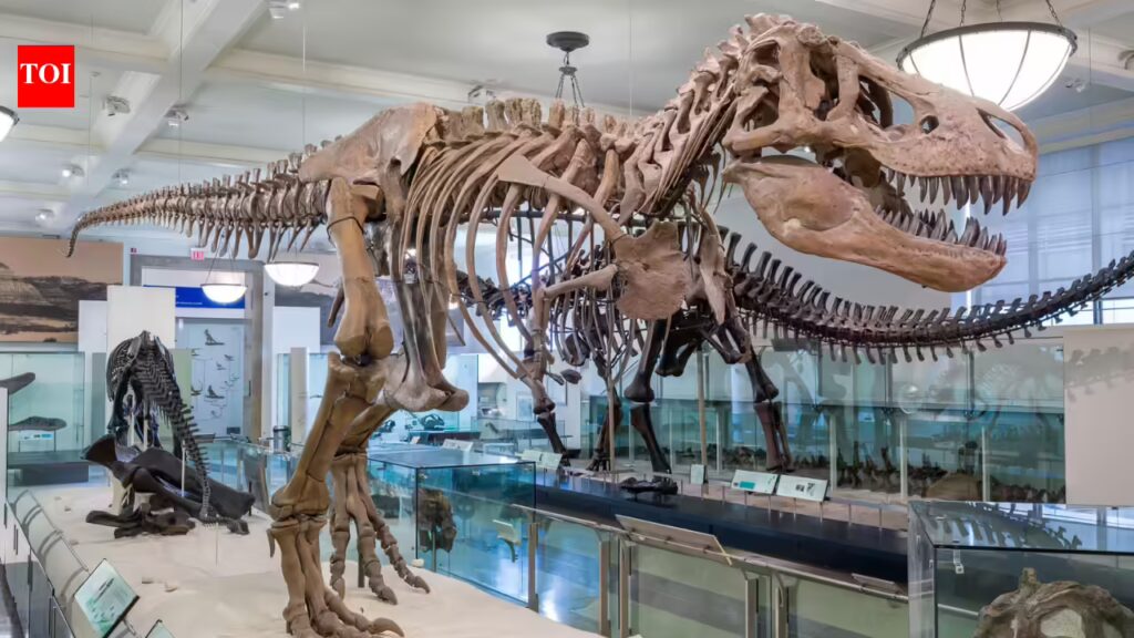 1777306530 photo.jpg