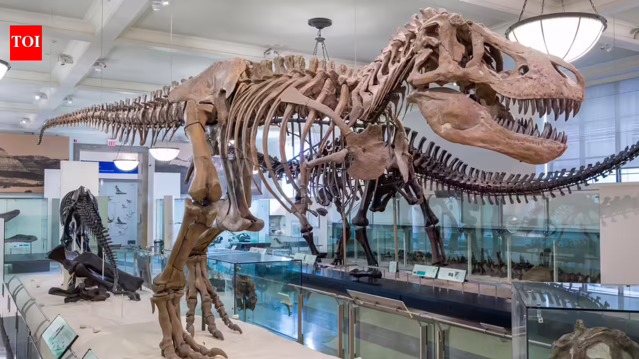 1777306530 photo.jpg