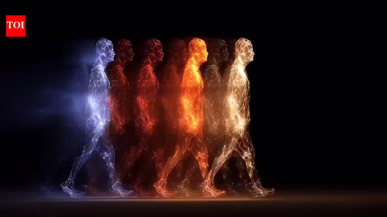 1777392255 photo.jpg