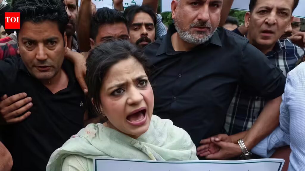 1777402877 photo.jpg