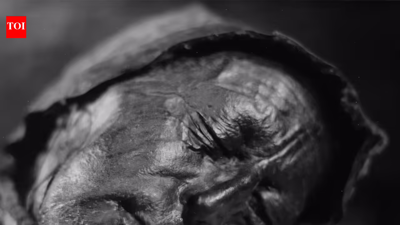 1777474754 photo.jpg