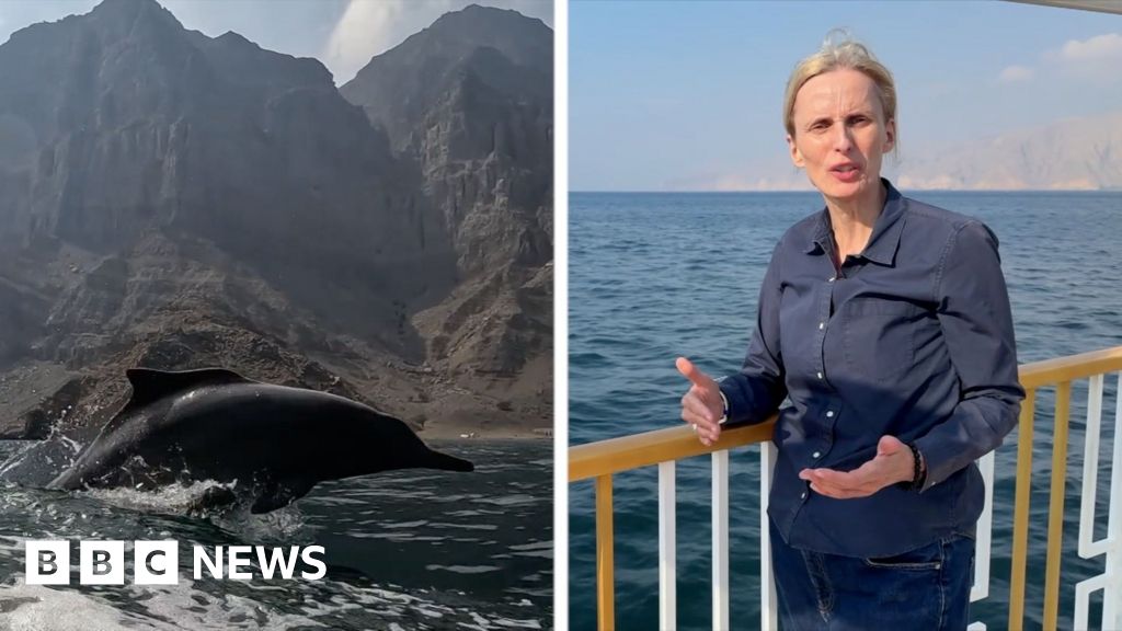 1a05ce70 3132 11f1 934f 036468834728.jpg