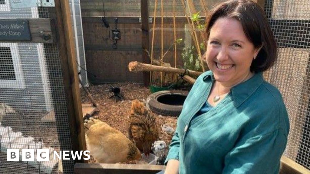 21b43310 3da2 11f1 b377 d7765ac78768.jpg