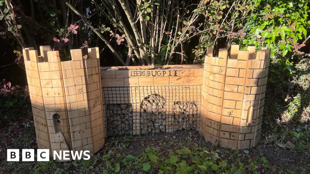 36861a50 3e75 11f1 8f78 2b3776d2d1d0.jpg