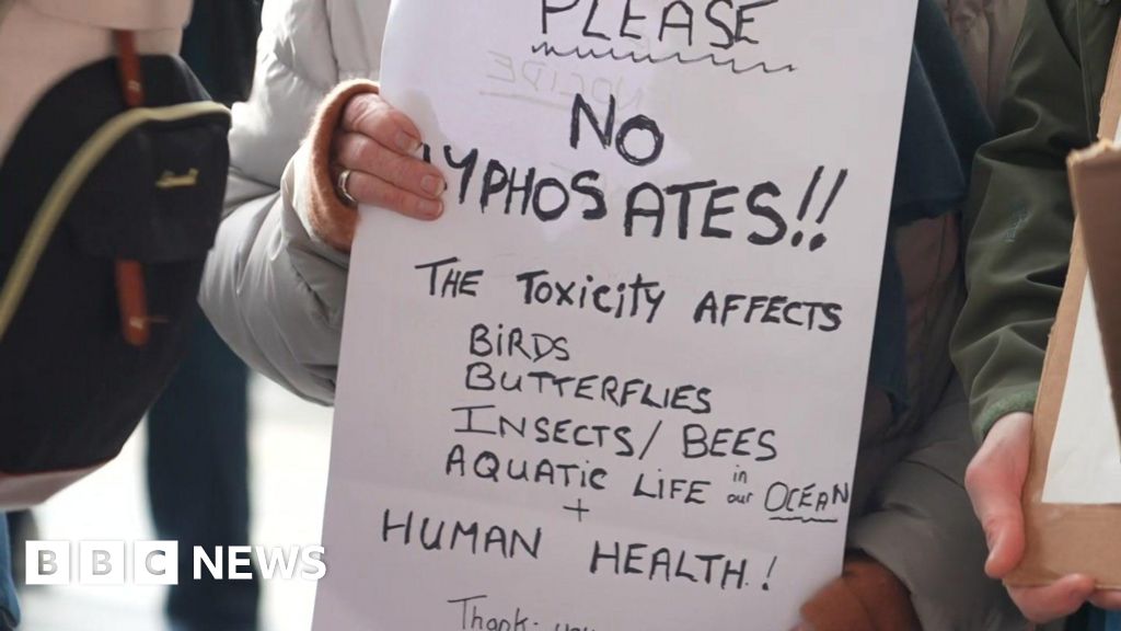 4b0e2fd0 3db2 11f1 9c18 89f6fb4b00a8.jpg