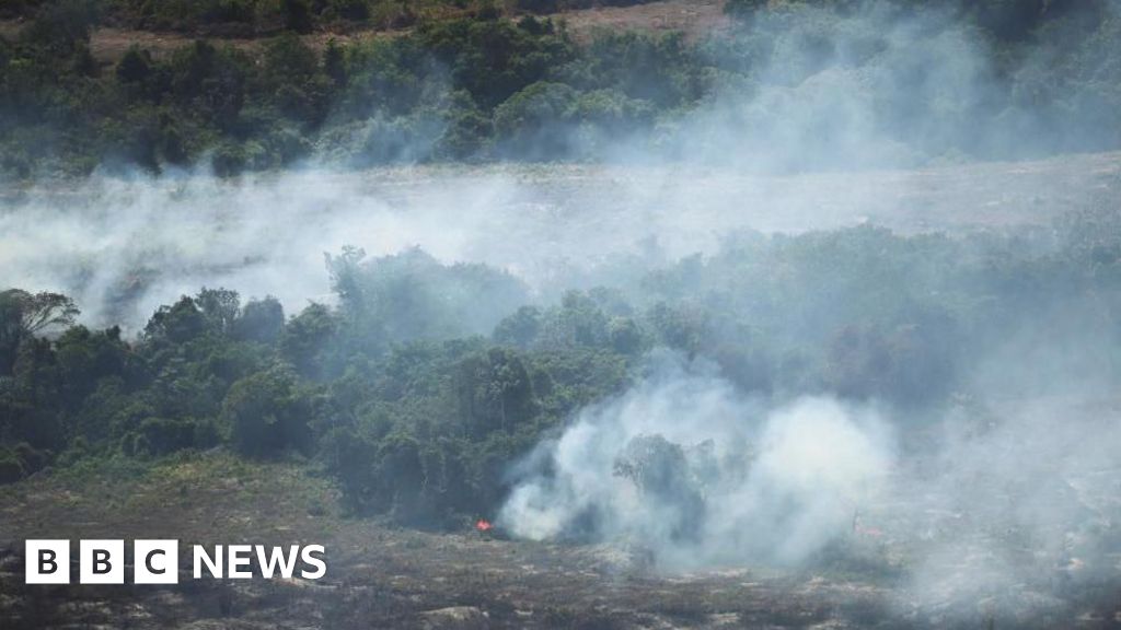 55e16e80 43a8 11f1 9d89 8526d1435c1c.jpg