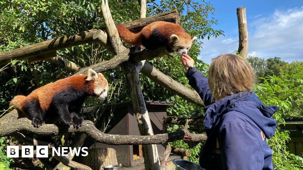 56901f70 358e 11f1 9d5c 8ba507d7dbde.jpg