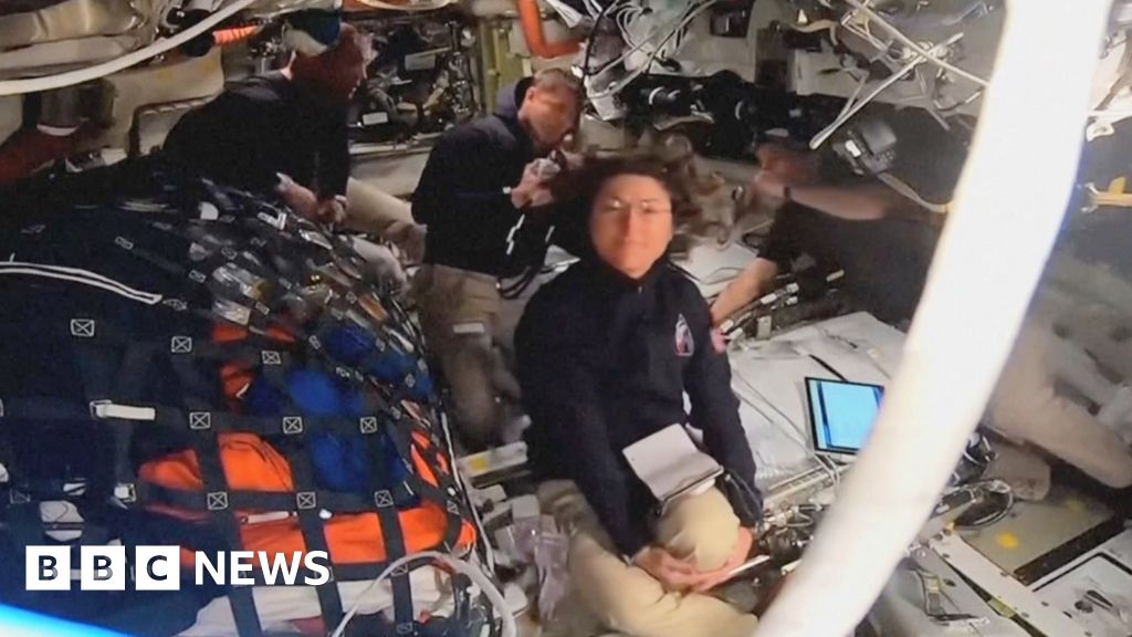 74dbd680 31fc 11f1 a79a 77e93010d956.jpg