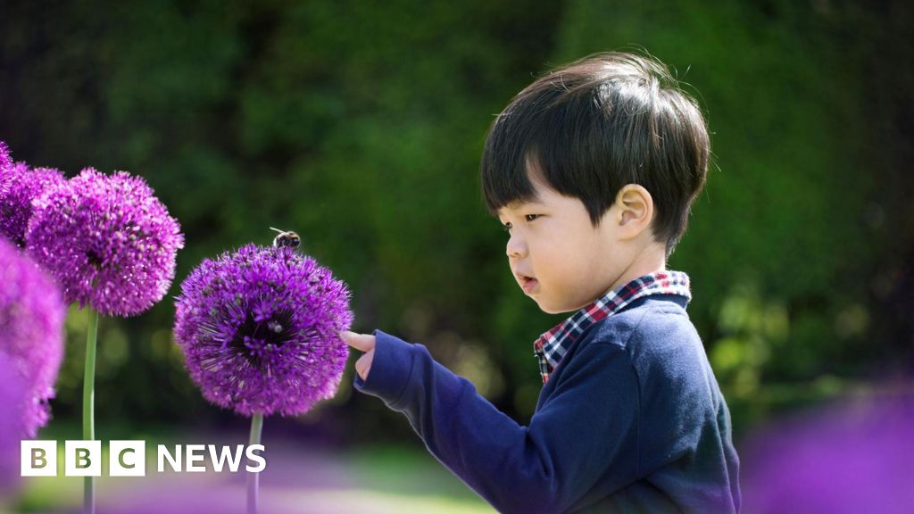 8f591050 3cd7 11f1 8106 cb440797df0d.jpg