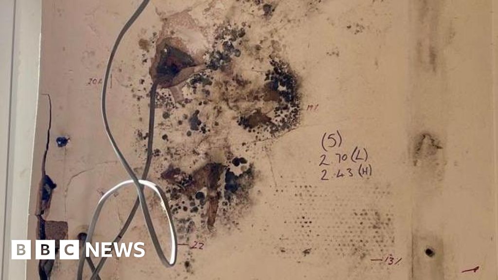 99775210 f77a 11f0 b7ec 55c1cb544783.jpg