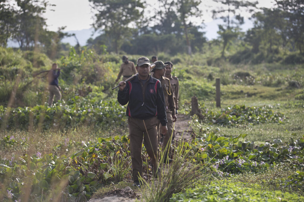 AP17323472728867 scaled.jpg