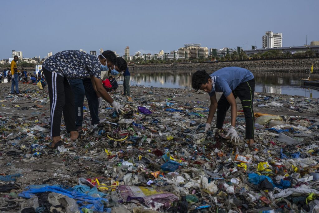 AP22156245416883 scaled.jpg