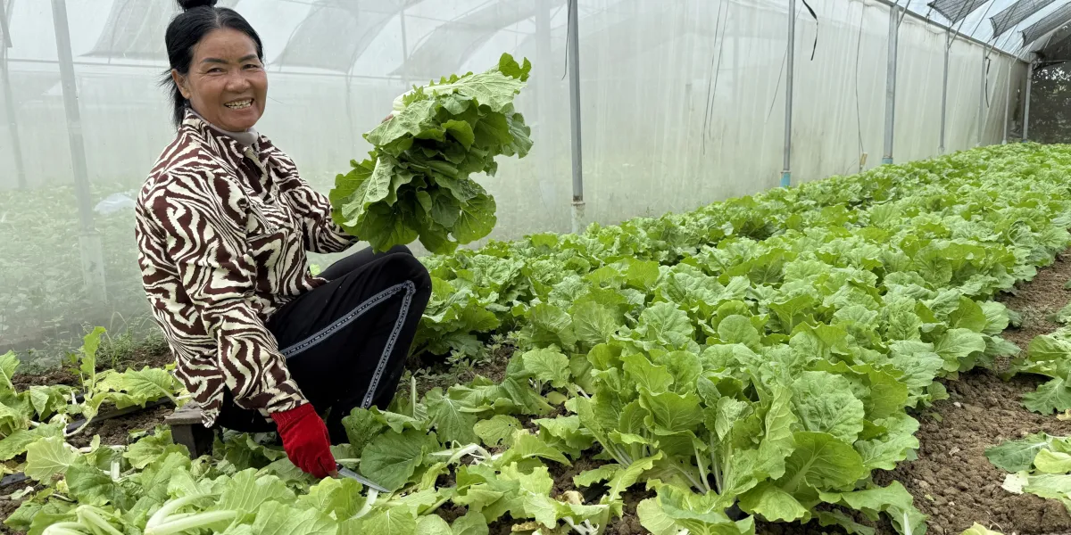 Good Return impact investment loan recipient Lor Yiin in Cambodia e1774979102764.jpg