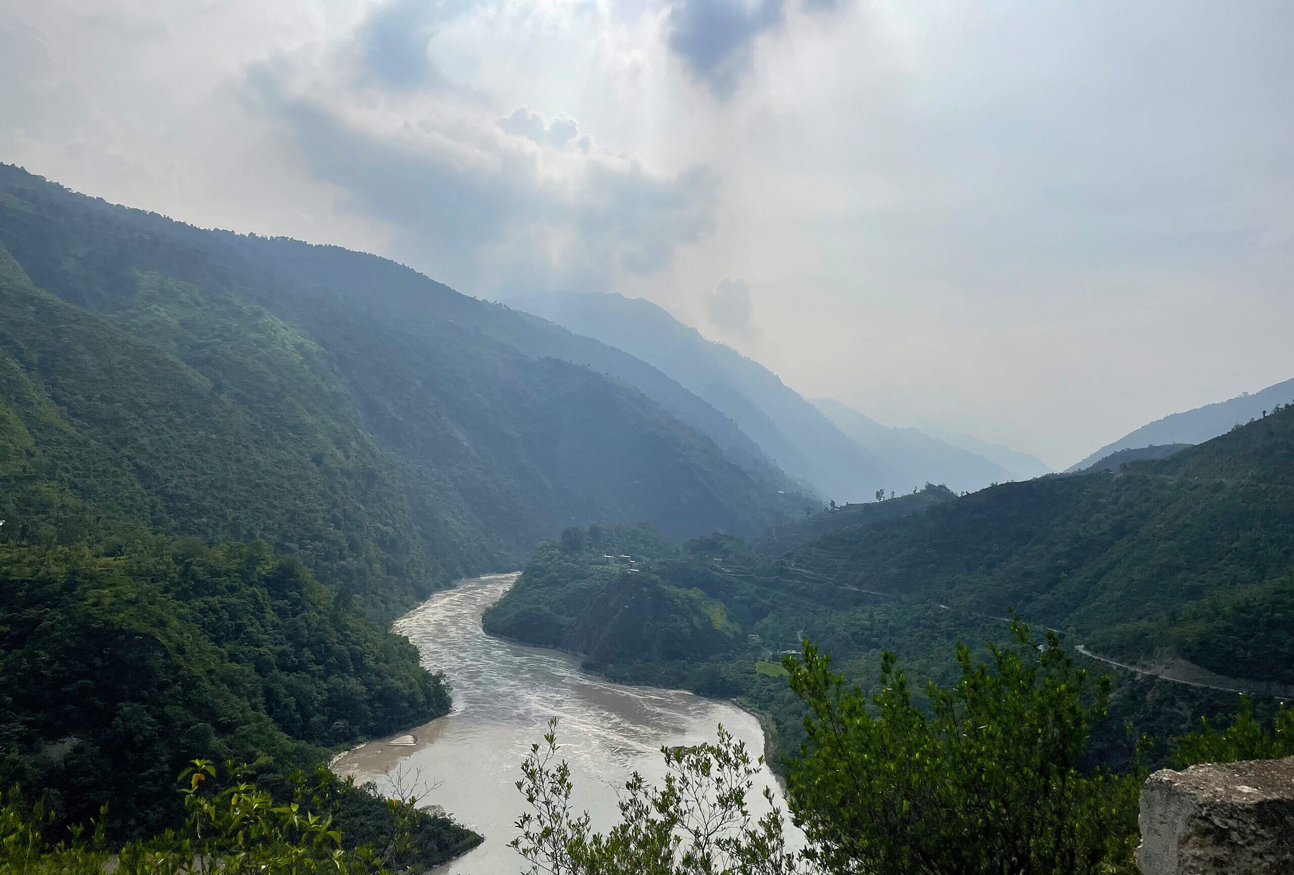 Image 1 Sub tropical pine forest of Himachal Pradesh. Credit Meenakshi Kapoor scaled e177754253889.jpeg