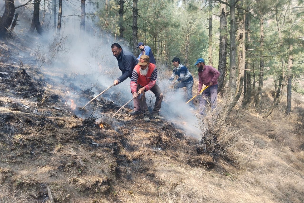 Image 6 e1774952437827.jpeg