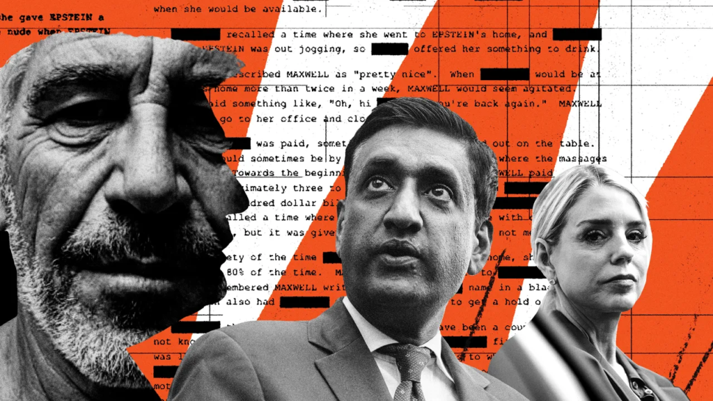 NewYorker TheEpsteinDemocrats R3 FINAL.png