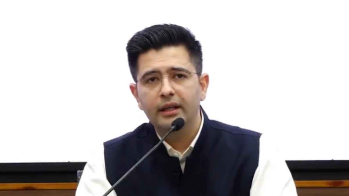 Raghav20Chadha.jpeg