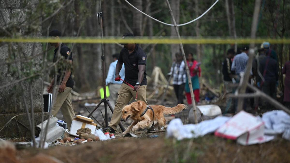 WhatsApp20Image202026 04 2220at2010.24.08.jpeg