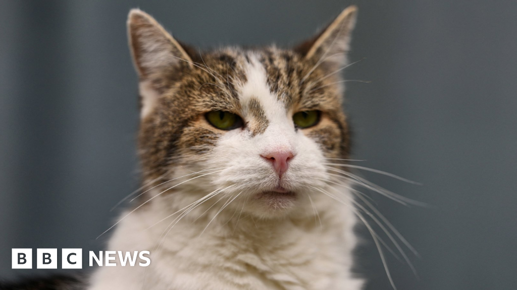 ac3777c0 3971 11f1 b60c af6bba5f6d25.png