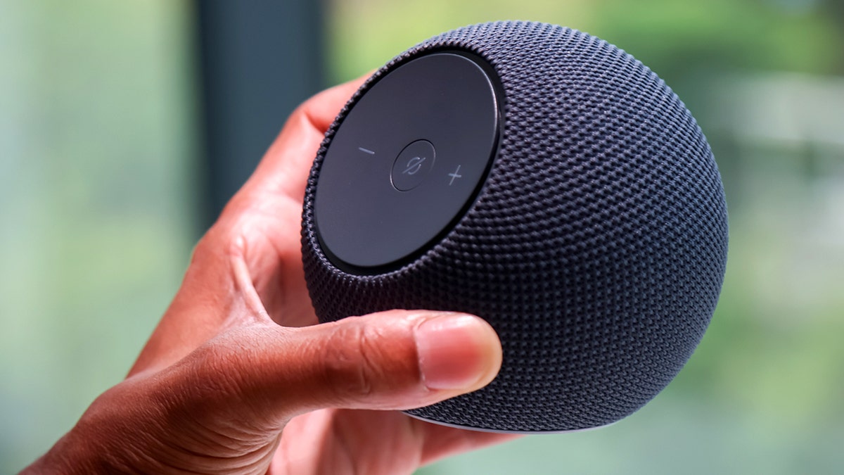 amazon alexa ordering food 1.jpg