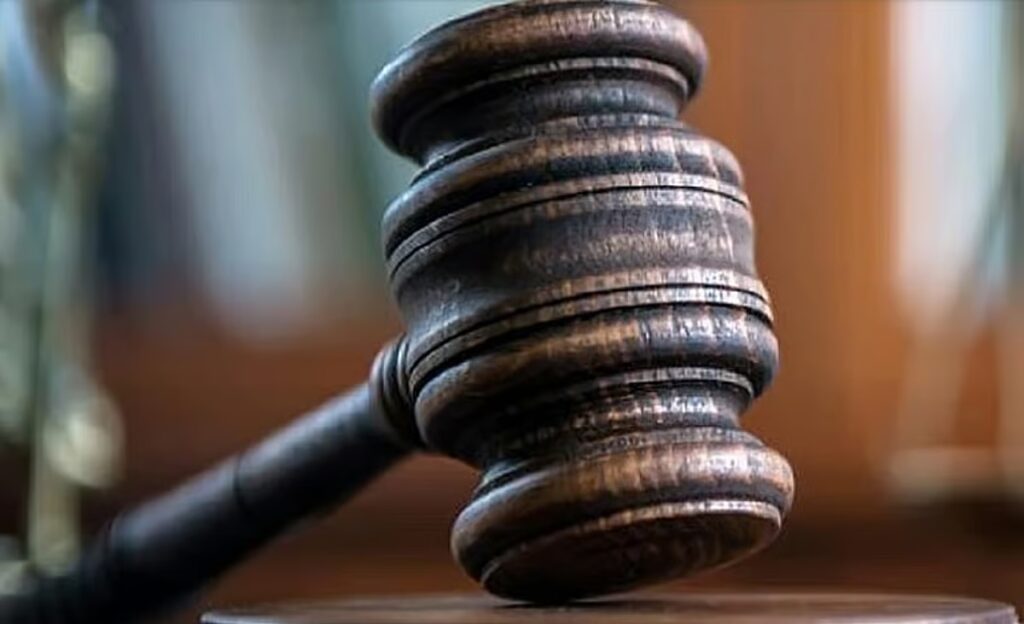 NGT Raps NHAI Over Delhi Waterbody, Seeks Uttarakhand Pilgrim Capacity Report and Action on Yamuna Waste (April 7, 2026) 1 downtoearth2F2026 03 102F5rsve80f2FCourt Digest.jpg