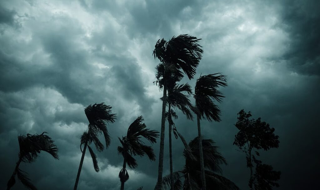 downtoearth2F2026 04 132Ft1ylwxg32FRain Clouds.jpg