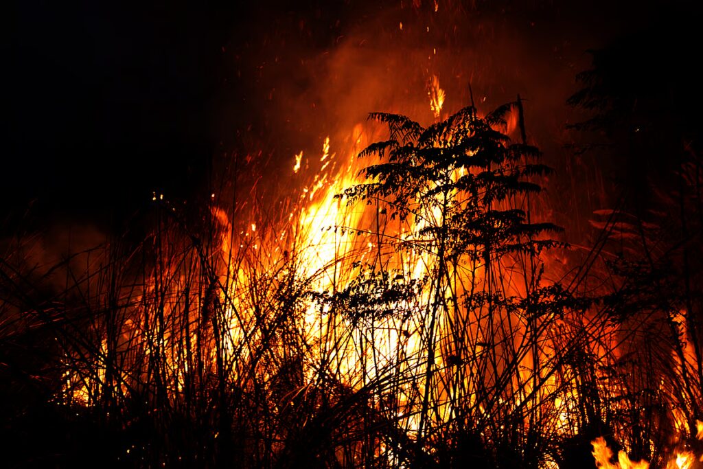 downtoearth2F2026 04 202Fkwpw86dd2FiStock 1200452781.jpg