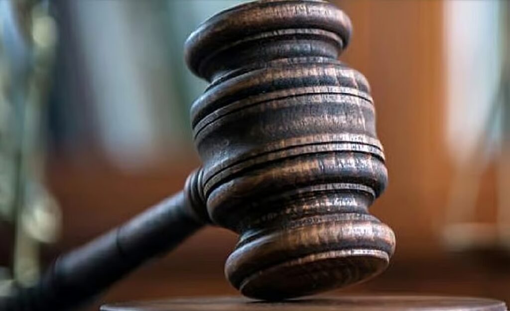 downtoearth2F2026 04 202Fws5sda7r2Fcourt.jpg