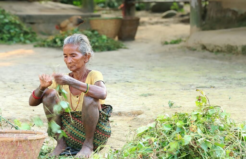 downtoearth2F2026 04 222Fv5bn45iv2FTharu Community.jpg