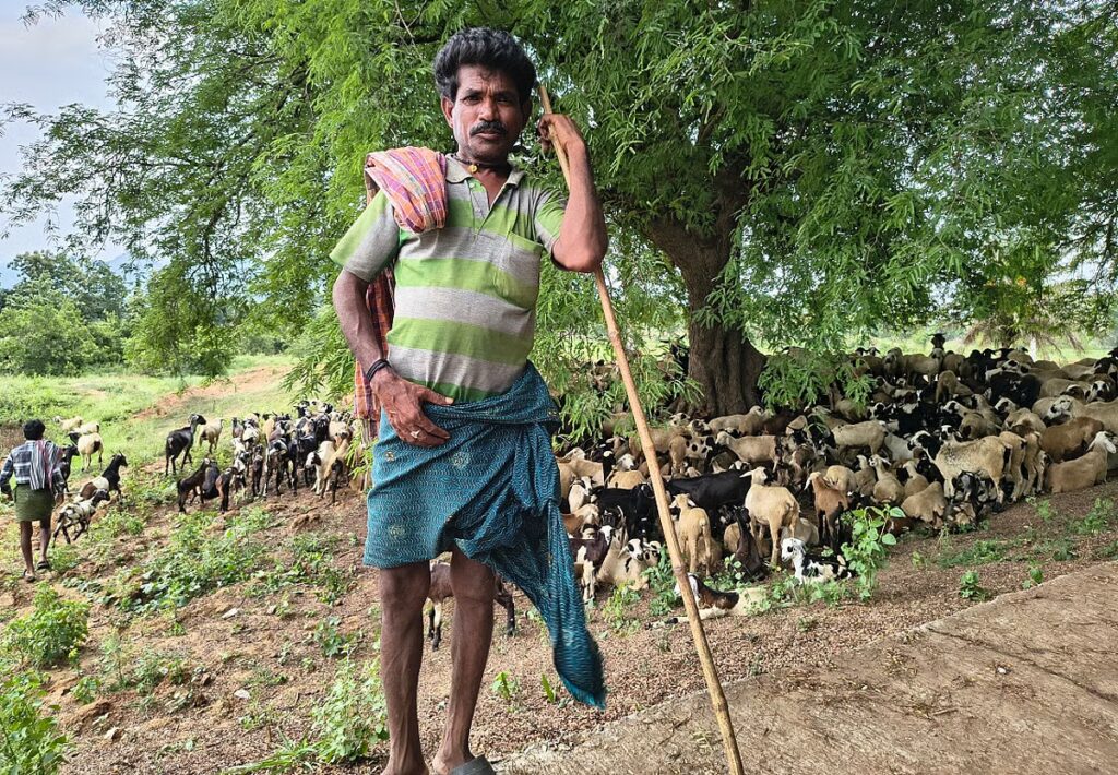 downtoearth2F2026 04 232Fzkkl8ql42FSeed Day Pastoralism 1.jpg