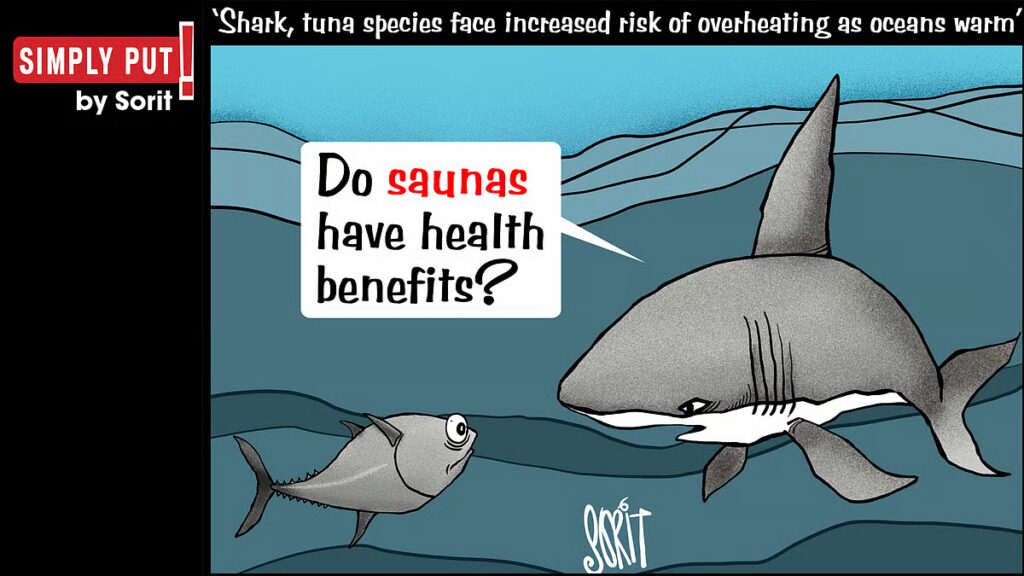 downtoearth2F2026 04 252Fc87qkz9e2FSimply Put 25 Apr hero image copy.jpg