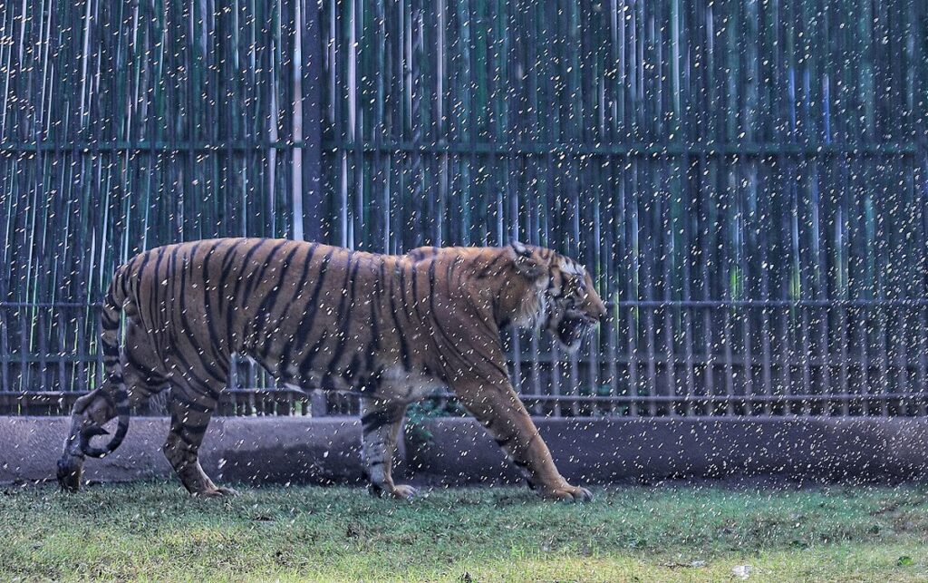 downtoearth2F2026 04 272Feqqnqo5m2FDelhi Zoo 1.jpg