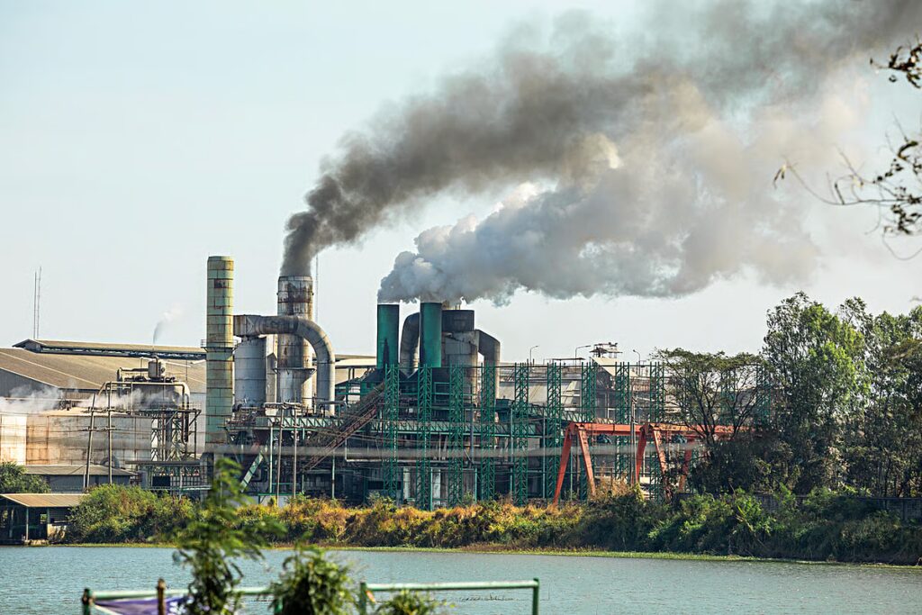 downtoearth2F2026 04 272Fo4vf02ou2FiStock 2237487709.jpg