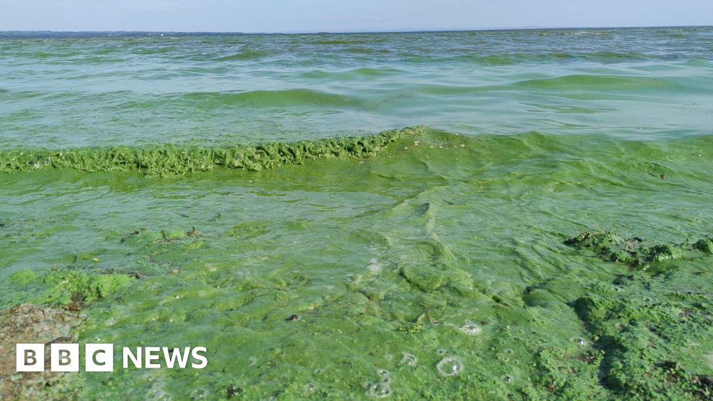 f076b700 43f0 11f1 9113 1988573e8ff7.jpg