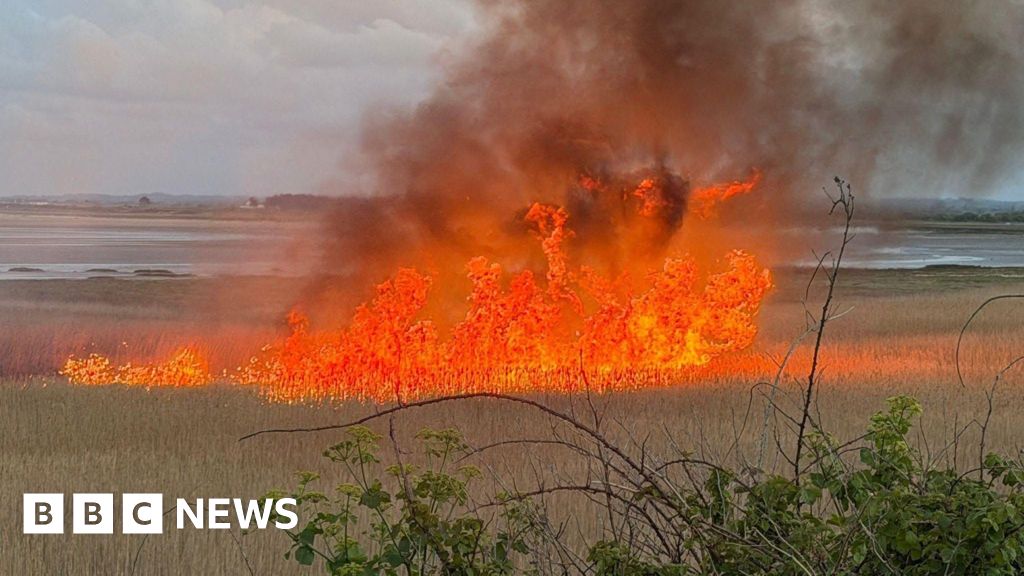 fcb68d70 3c92 11f1 bfee 83c7643042f8.jpg