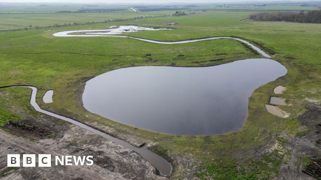 ff9ffd70 3fe2 11f1 ba72 3dd058cb149f.jpg