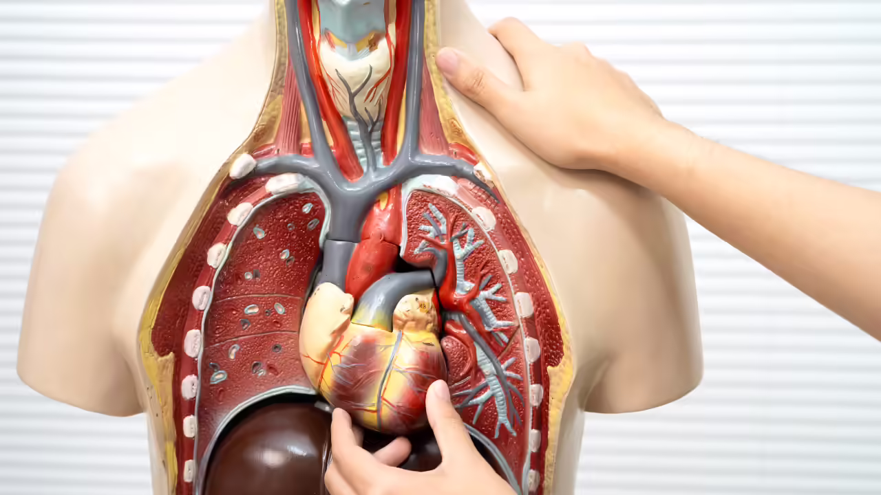 msid 130534854imgsize 1154513.cms .avif