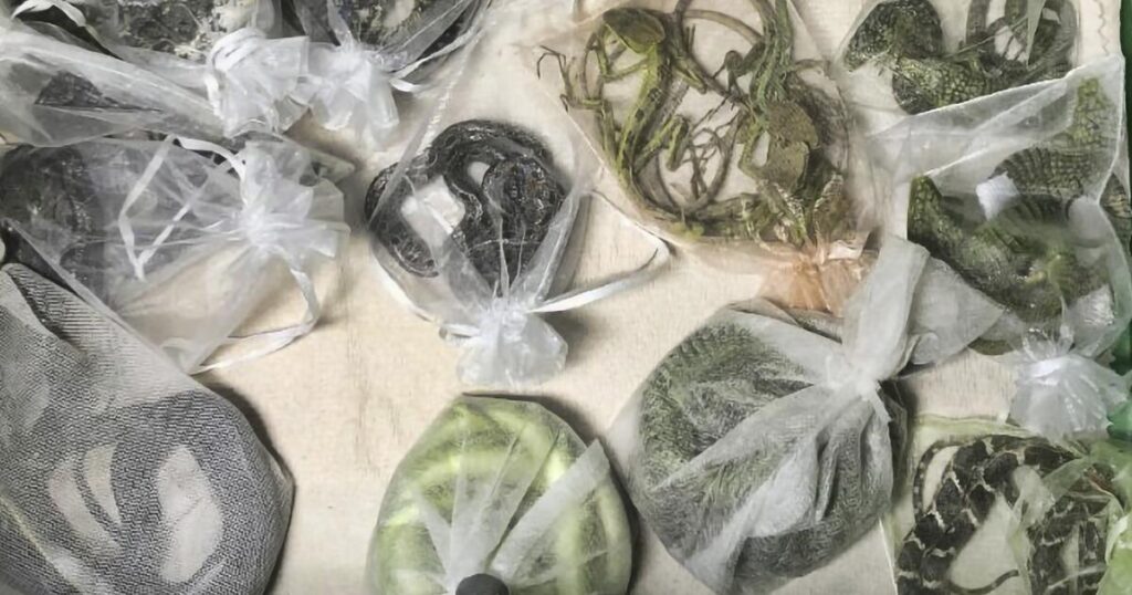 urlhttps3A2F2Fcalifornia times brightspot.s3.amazonaws.com2Fda2F922Fa393d8f8421eb9603b757c69.jpeg