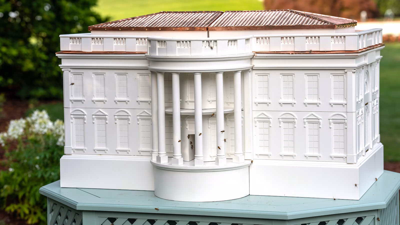 white house beehive gty jt 260425 1777144539388 hpMain 16x9.jpg